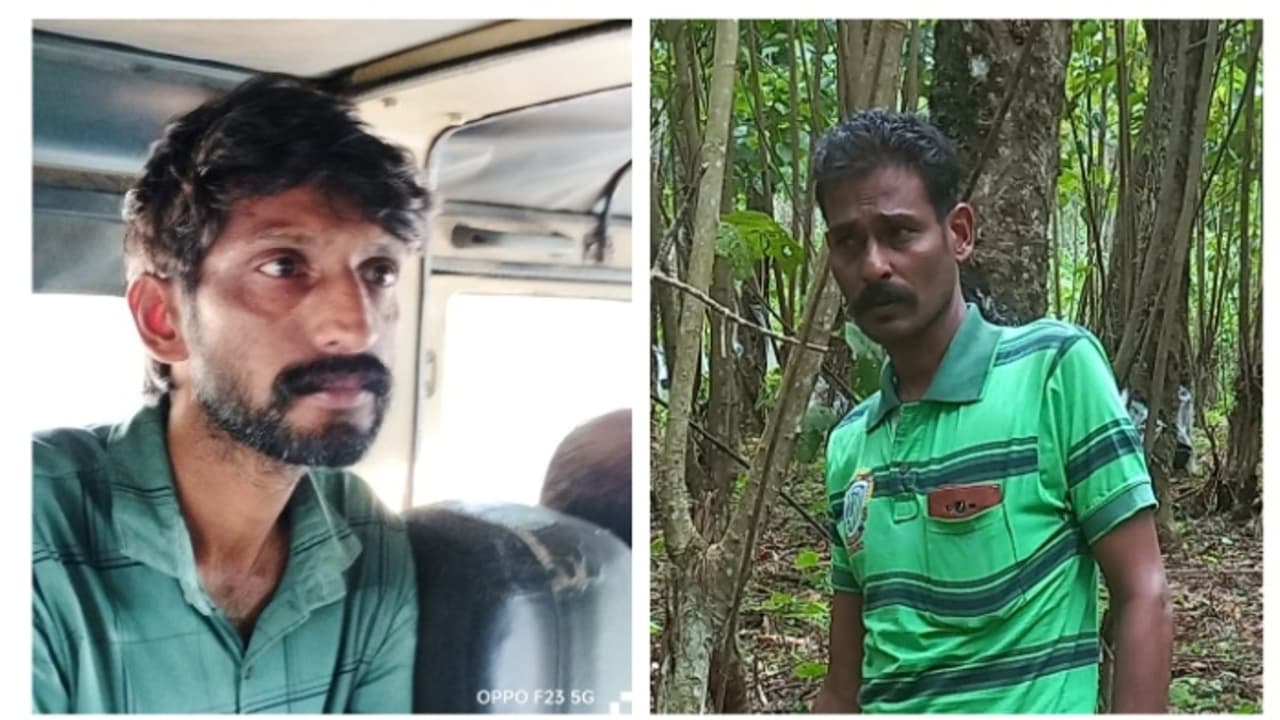 മാനിനെ കെട്ടിയിട്ട് റീൽസ് ചിത്രീകരണം; ടാപ്പിം​ഗ് തൊഴിലാളിയായ ഒരാൾ കൂടി അറസ്റ്റിൽ; 2 പേർ ഒളിവിൽ 