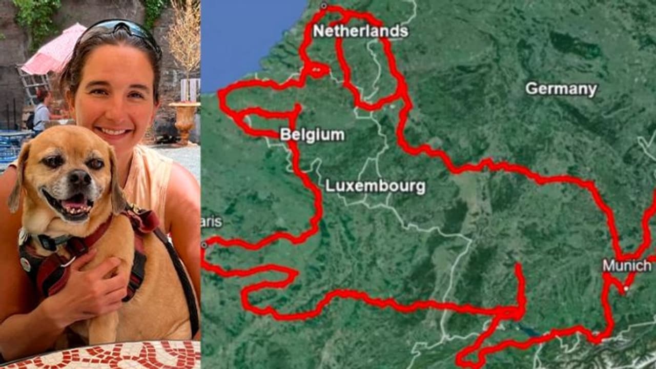 ಮೃತ ಸಾಕು ನಾಯಿಗಾಗಿ 4,707 KM ಸೈಕಲ್‌ನಲ್ಲಿ ಪ್ರಯಾಣಿಸಿ GPS ರೇಖಾಚಿತ್ರ ಬಿಡಿಸಿ ದಾಖಲೆ ಬರೆದ ಮಹಿಳೆ