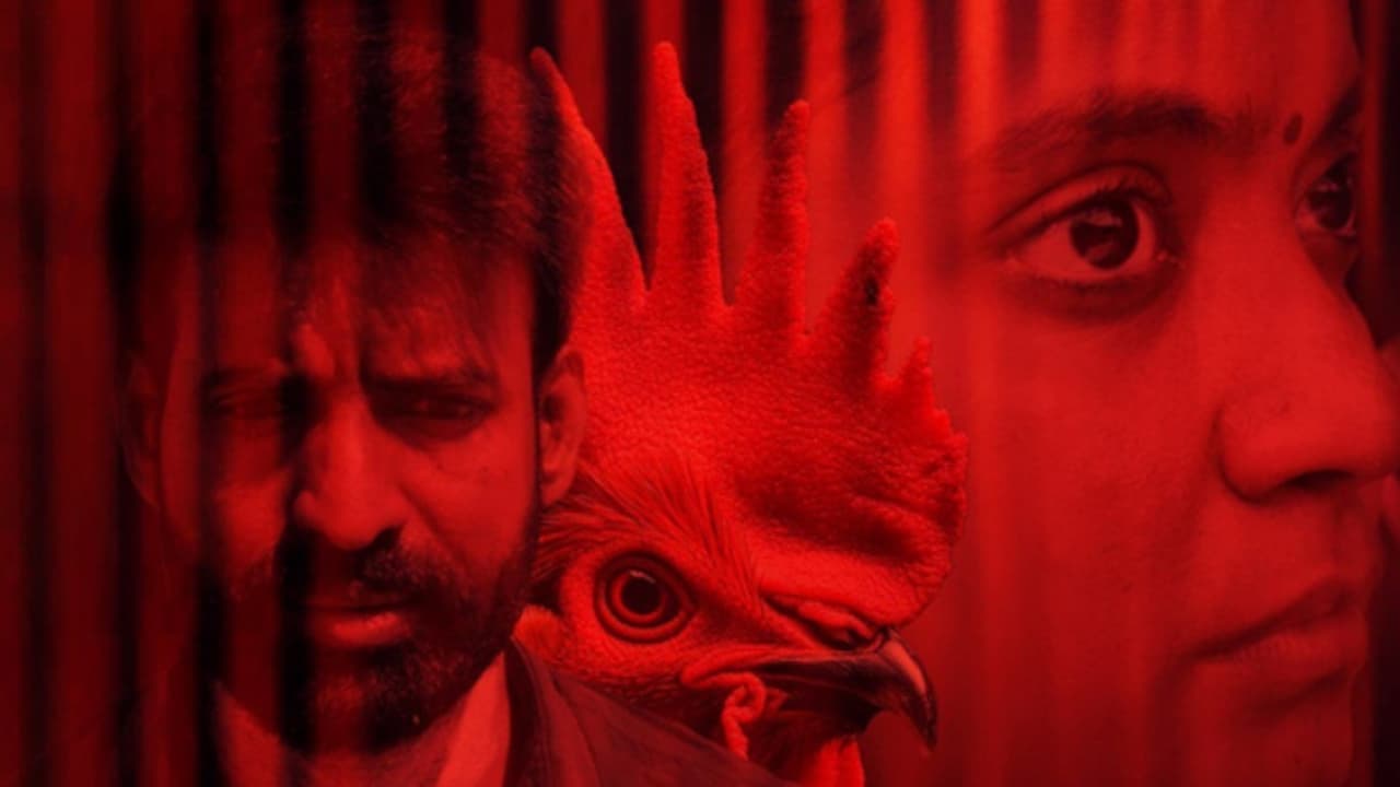 അന്നാ ബെന്നിനറെ കൊട്ടുകാളി ക്ലിക്കായോ?, കളക്ഷൻ കണക്കുകള് പുറത്തുവിട്ടു അന്നാ ബെന്നിനറെ കൊട്ടുകാളി ക്ലിക്കായോ?, കളക്ഷൻ കണക്കുകള് പുറത്തുവിട്ടു