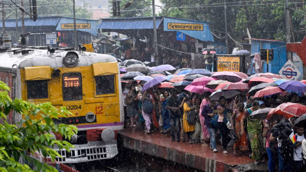 Gujarat on high alert: IMD warns of heavy rains, schools closed in flood hit districts