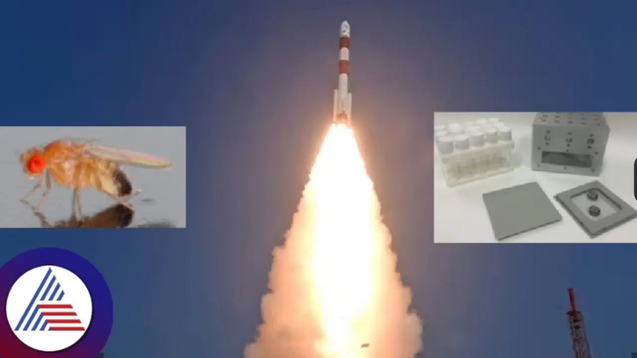 ಇಸ್ರೋ ಗಗನಯಾನ ಮಿಷನ್ 2025: ಧಾರವಾಡ ಕೃಷಿ ವಿವಿ ನೀಡಿದ ನೊಣಗಳ ಕಿಟ್ ಆಯ್ಕೆ!