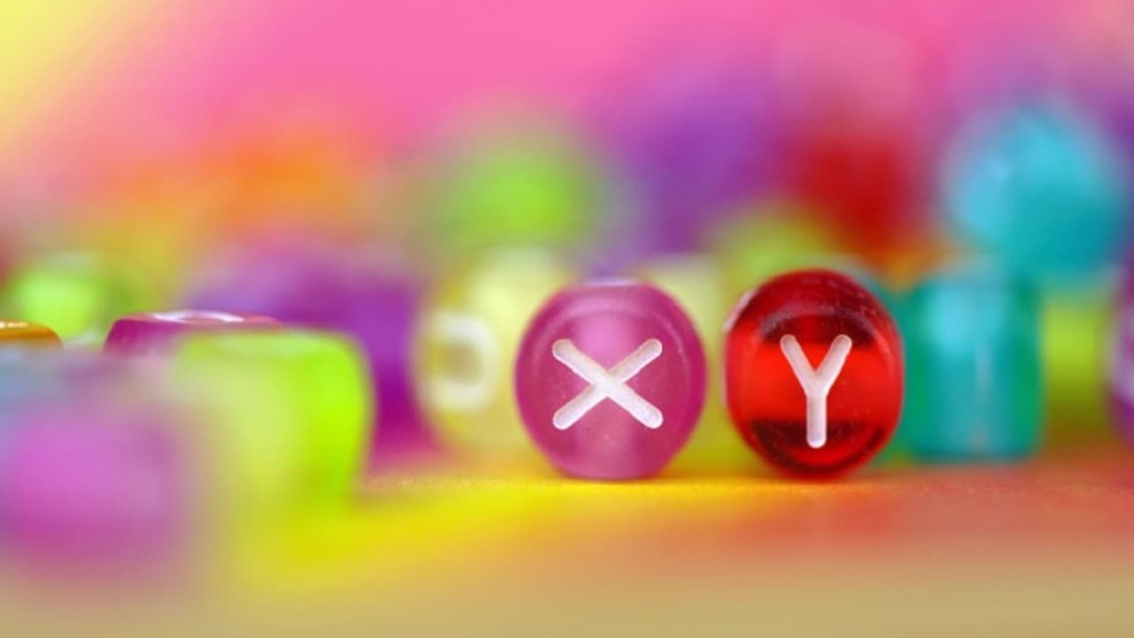 Y chromosome's slow disappearance: Are we heading towards a world without men?