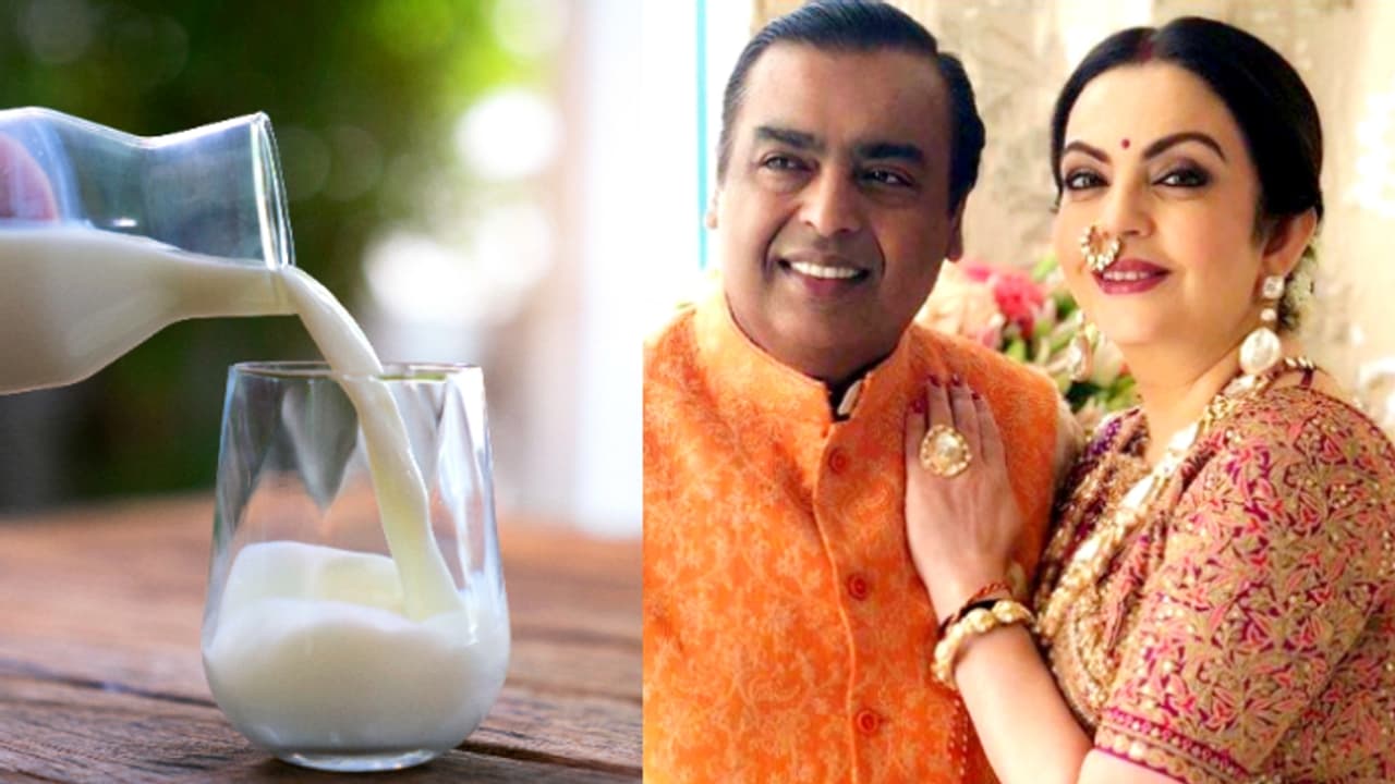 അംബാനി വാങ്ങുന്നത് വെറും പാലല്ല, സൂപ്പർ റിച്ച് പ്രോട്ടീൻ പാൽ; ഒരു ലിറ്ററിന് നൽകുന്ന വില ചില്ലറയല്ല അംബാനി വാങ്ങുന്നത് വെറും പാലല്ല, സൂപ്പർ റിച്ച് പ്രോട്ടീൻ പാൽ; ഒരു ലിറ്ററിന് നൽകുന്ന വില ചില്ലറയല്ല