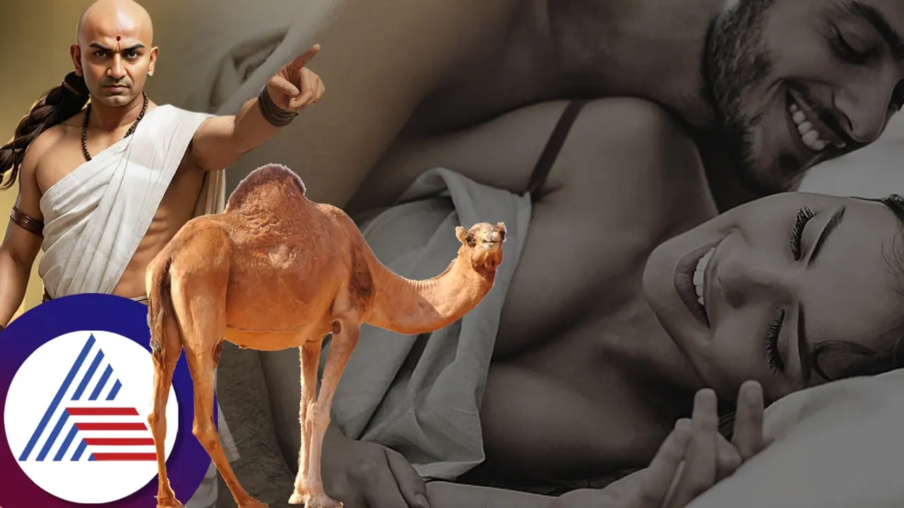 ಚಾಣಕ್ಯ ನೀತಿ: ಸಂಗಾತಿಯನ್ನು ತೃಪ್ತಿಪಡಿಸಲು ರೂಢಿಸಿಕೊಳ್ಳಿ ಒಂಟೆಯ ಅಭ್ಯಾಸಗಳು... ಮೊದಲ ಪ್ರಯತ್ನದಲ್ಲಿ ಸಿಗುತ್ತೆ ರಿಸಲ್ಟ್!