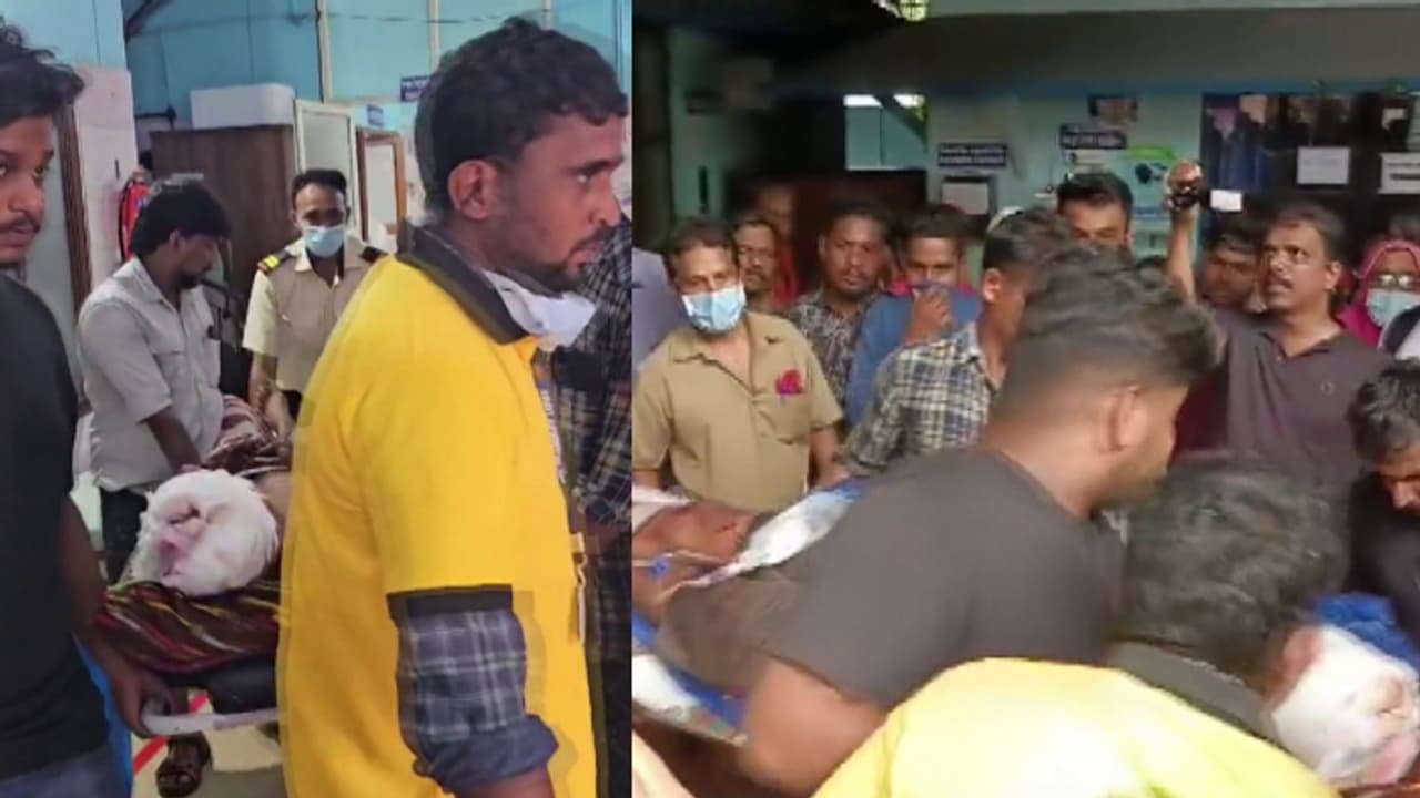 കൂൺ പറിക്കാനായി സുഹൃത്തുക്കൾക്കൊപ്പം കാട്ടിലേക്ക് പോയി, പിന്നിൽ നിന്നും ചാടി വീണ് കരടി; യുവാവിന് പരിക്ക് കൂൺ പറിക്കാനായി സുഹൃത്തുക്കൾക്കൊപ്പം കാട്ടിലേക്ക് പോയി, പിന്നിൽ നിന്നും ചാടി വീണ് കരടി; യുവാവിന് പരിക്ക്