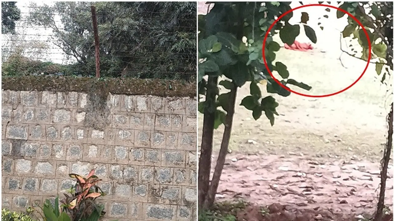 ಬೆಳಗಿನ ವಾಕಿಂಗ್ ಮಾಡುವ ವೇಳೆ 76 ವರ್ಷದ ವೃದ್ಧೆಯ ಮೇಲೆ ಎರಗಿದ 10 ಬೀದಿನಾಯಿ, ಸ್ಥಳದಲ್ಲೇ ಸಾವು!