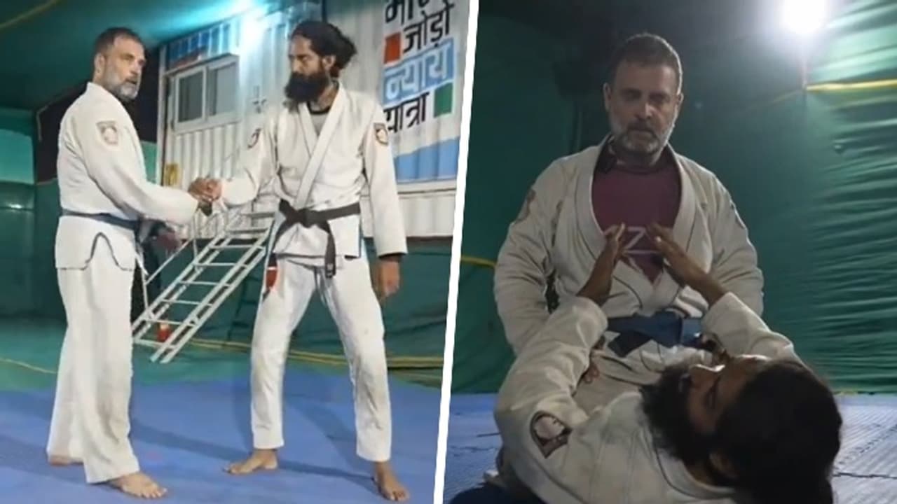 Rahul Gandhi trolled for jiu jitsu moves featured in Congress' throwback video (Watch)