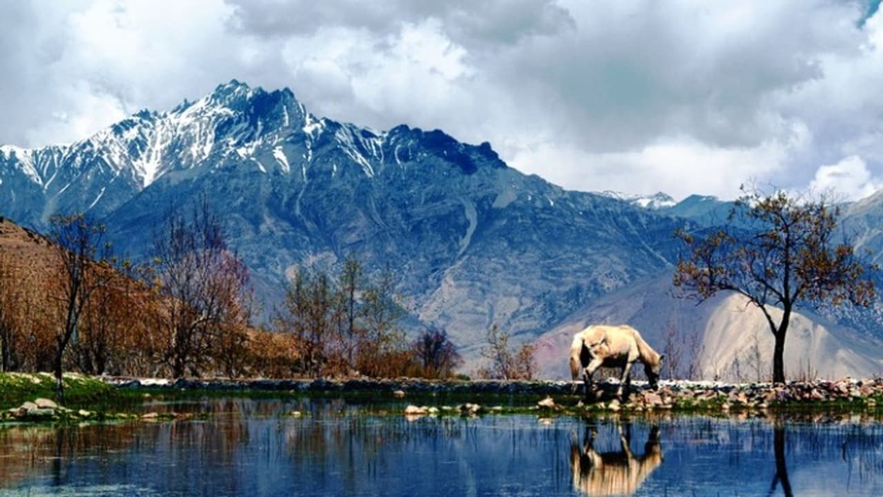 Countries where Indian rupee makes you feel like royalty