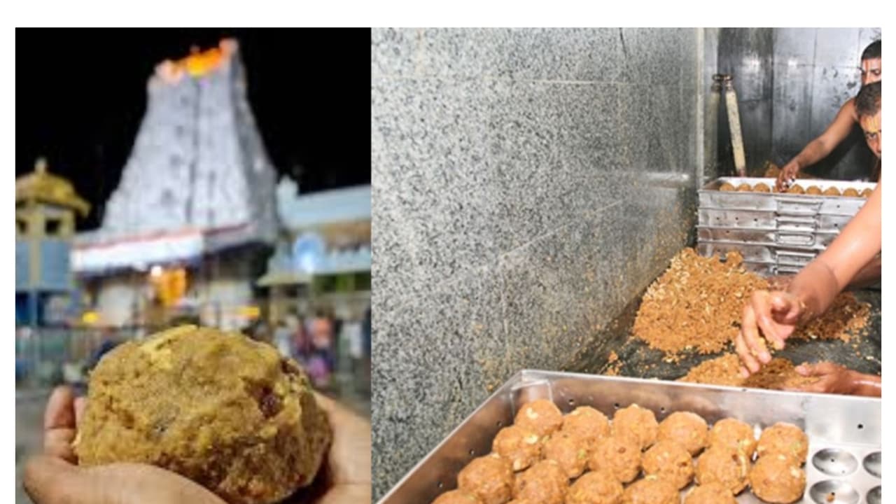 திருப்பதியில் லட்டு வாங்க இன்று முதல் ஐடி கட்டாயம்; தேவஸ்தானம் அறிவிப்பு