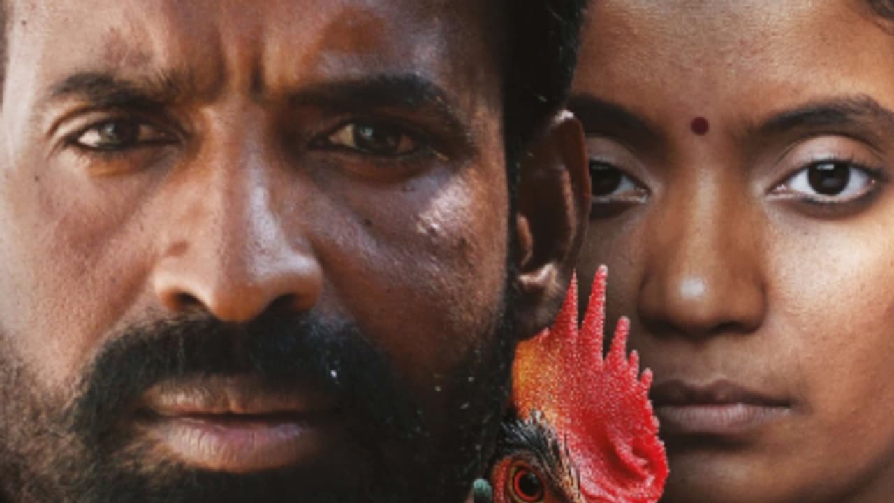 അന്നാ ബെന്നിന്റെ കൊട്ടുകാളിക്ക് ആഗോള കളക്ഷനില്‍ നേട്ടമുണ്ടാക്കാനായോ?, കണക്കുകള്‍