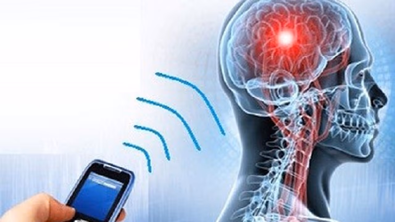 Smartphone यूज करने की एक गलती से बढ़ रहा है ब्रेन कैंसर का खतरा, चेक करें अभी