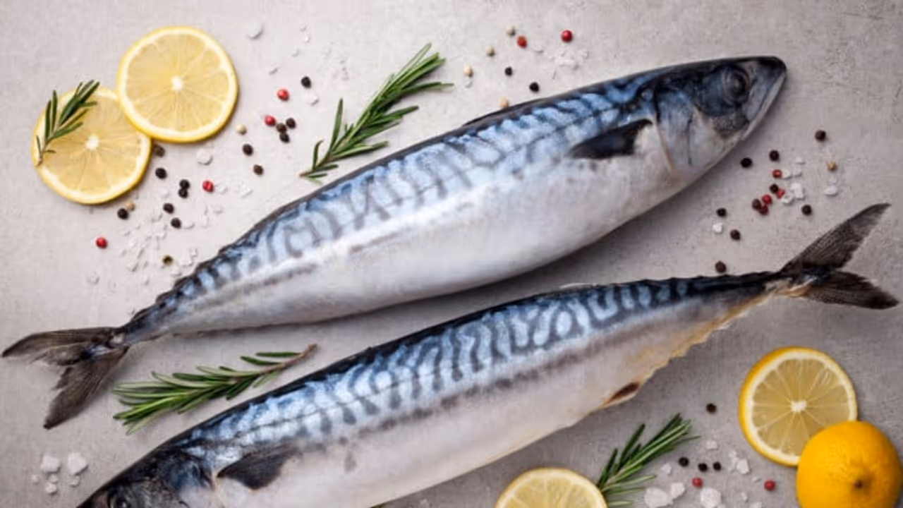 கானாங்கெளுத்தி மீன் சாப்பிடுவதால் இவ்வளவு நன்மைகளா? கானாங்கெளுத்தி மீன் சாப்பிடுவதால் இவ்வளவு நன்மைகளா?