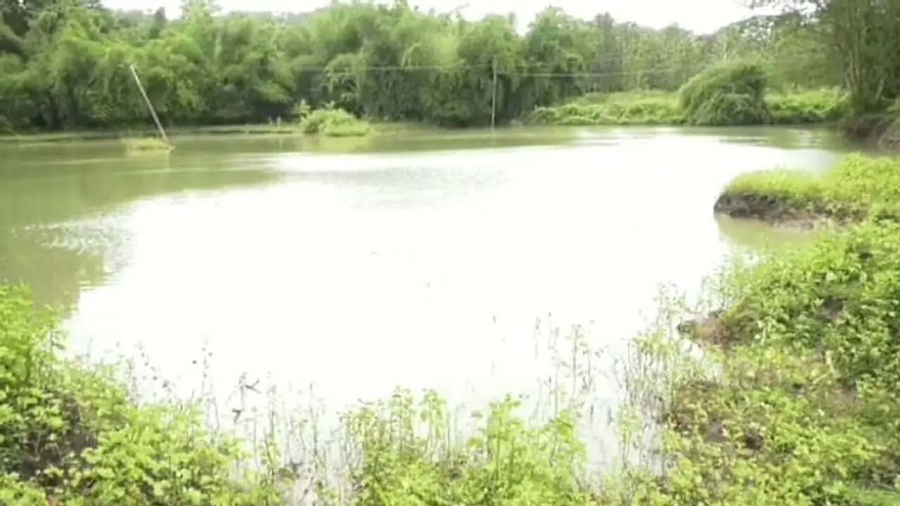 ಕೊಳ್ಳೇಗಾಲ: ಕೆರೆಗೆ ನುಗ್ಗಿದ ಕಾರು, ಮಾದಪ್ಪನ ಸನ್ನಿಧಿಗೆ ತೆರಳಬೇಕಾದ ಇಬ್ಬರು ಮಸಣಕ್ಕೆ! 