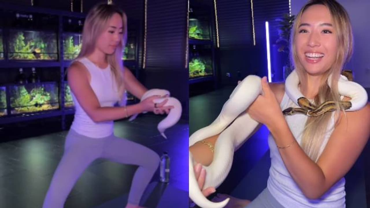 എന്തൊക്കെയാണീ കാണുന്നത്? പാമ്പുകൾക്കൊപ്പം യോ​ഗയെന്ന് യുവതി, രൂക്ഷമായി വിമർശിച്ച് നെറ്റിസൺസ് 