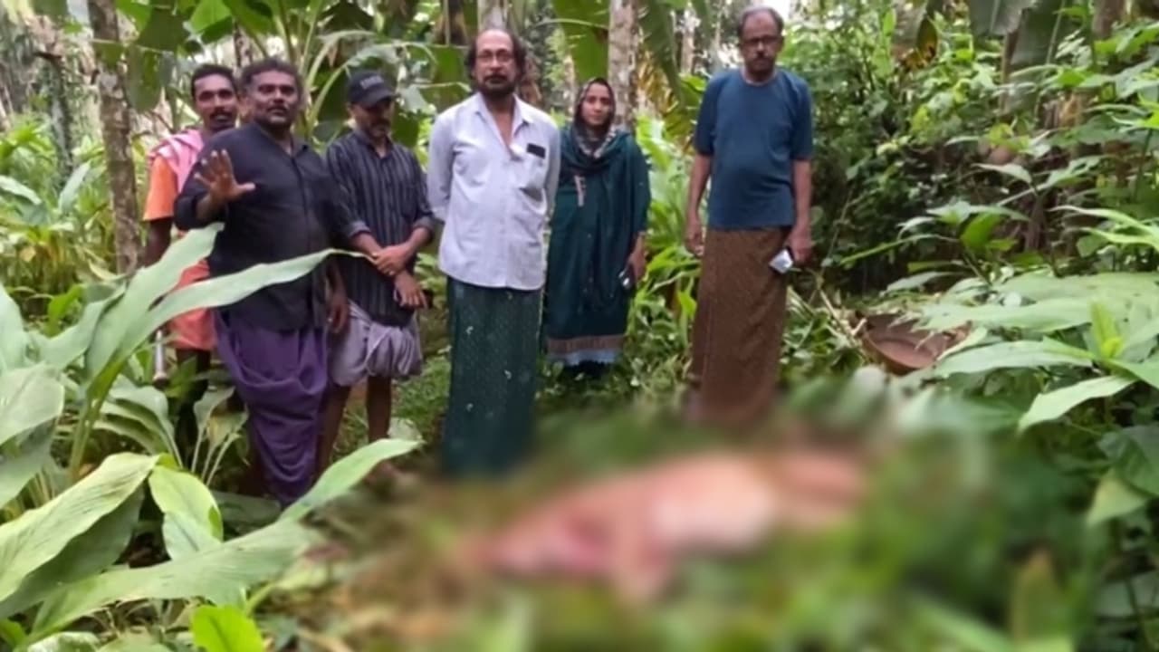 രാവിലെ 9.30ന് കിണറില്‍ അസാധാരണ ശബ്ദം; കൗൺസിലറും നാട്ടുകാരും എത്തി, വെടിവച്ചിട്ട് കാട്ടുപന്നിയെ പുറത്തെടുത്തു