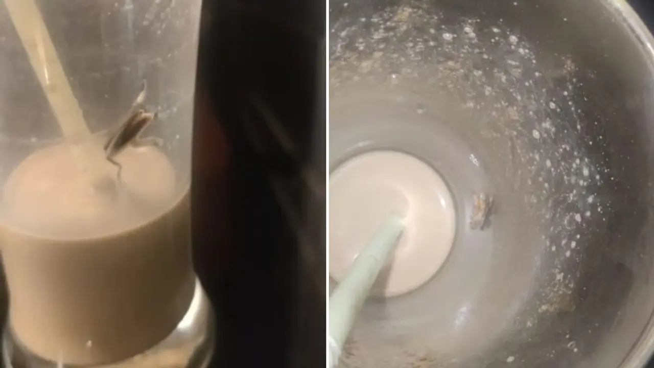 SHOCKING! Customer finds cockroach in cold coffee at Malad cafe in Mumbai; see viral photo