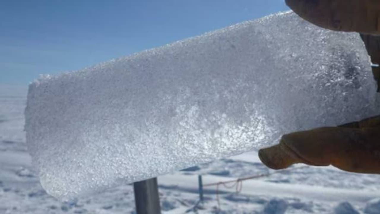 41,000 വർഷം പഴക്കമുള്ള ‘സോംബി’ വൈറസുകൾ, മനുഷ്യരെ ബാധിക്കുമോ? ആശങ്ക വേണോ ഈ കണ്ടെത്തലിൽ?