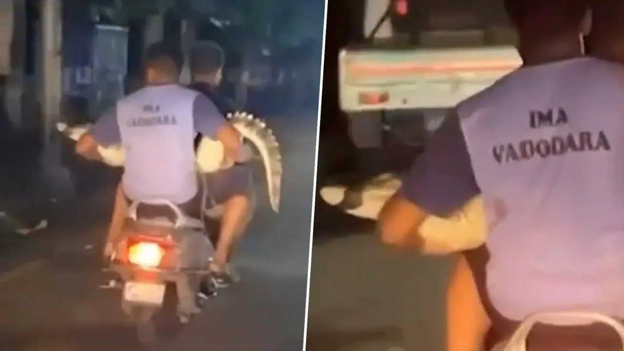 Gujarat floods: Rescuers transport giant crocodile on scooter in viral video (WATCH)