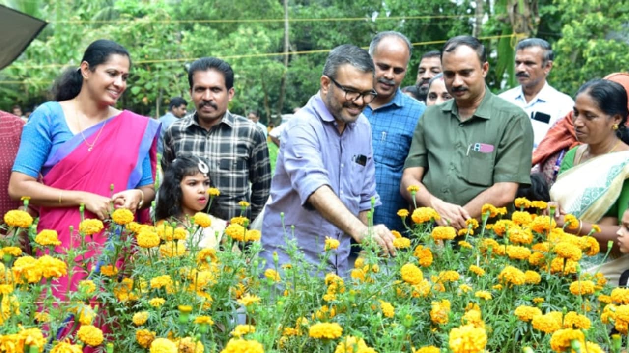 ഓണമിങ്ങെത്തി, പൂക്കളും പാകമായി വിളവെടുപ്പ് തുടങ്ങി, കണ്ണൂര് ഒരു കൊട്ടയല്ല, ഒരു പൂക്കാലം നൽകിയെന്ന് മന്ത്രിയും ഓണമിങ്ങെത്തി, പൂക്കളും പാകമായി വിളവെടുപ്പ് തുടങ്ങി, കണ്ണൂര് ഒരു കൊട്ടയല്ല, ഒരു പൂക്കാലം നൽകിയെന്ന് മന്ത്രിയും