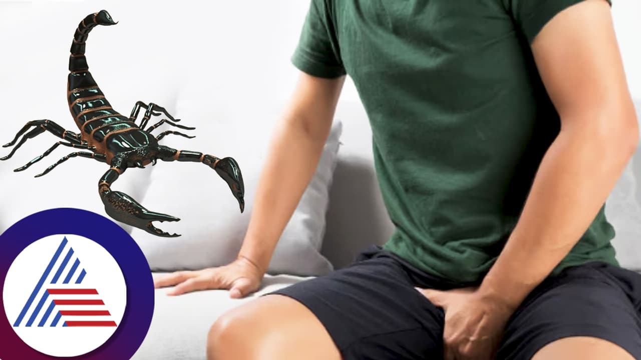 ಹೋಟೆಲ್‌ನಲ್ಲಿ ಪುರುಷನ ಖಾಸಗಿ ಭಾಗಕ್ಕೆ ಕಚ್ಚಿದ ಚೇಳು; ನನ್ನ ಜೀವನವೇ ಹಾಳಾಯ್ತು ಅಂತ ಕಣ್ಣೀರಿಟ್ಟ ಪತ್ನಿ!