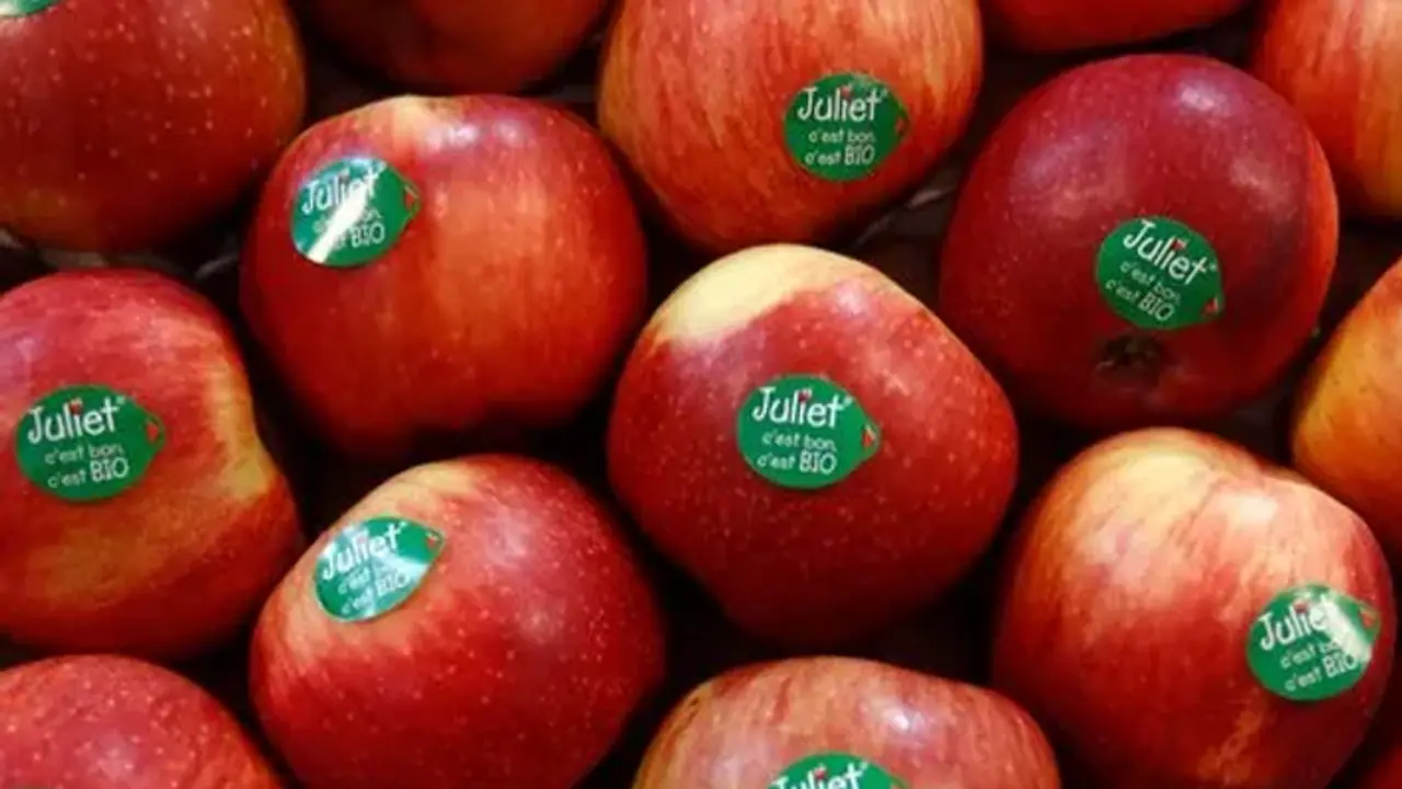 ಪಾಕಿಸ್ತಾನ ಜೊತೆ ಸೇರಿದ ರಾಷ್ಟ್ರಕ್ಕೆ ಶಾಕ್, ಭಾರತೀಯ ವರ್ತಕರಿಂಗ ಟರ್ಕಿ ಆ್ಯಪಲ್ ಬ್ಯಾನ್ ಪಾಕಿಸ್ತಾನ ಜೊತೆ ಸೇರಿದ ರಾಷ್ಟ್ರಕ್ಕೆ ಶಾಕ್, ಭಾರತೀಯ ವರ್ತಕರಿಂಗ ಟರ್ಕಿ ಆ್ಯಪಲ್ ಬ್ಯಾನ್