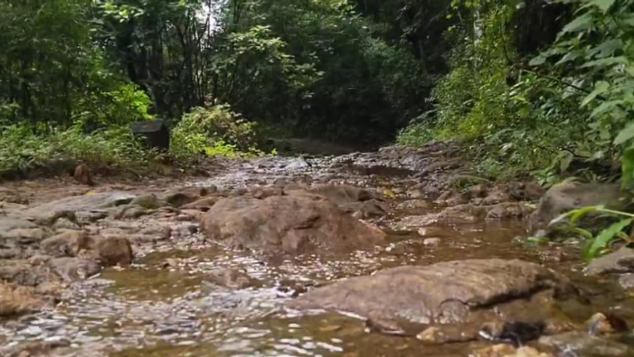 ആകെയുള്ളത് മൺപാത, റോഡിനായി അഞ്ചുരുളിക്കാർ കാത്തിരിപ്പ് തുടങ്ങിയിട്ട് പതിറ്റാണ്ടുകൾ ആകെയുള്ളത് മൺപാത, റോഡിനായി അഞ്ചുരുളിക്കാർ കാത്തിരിപ്പ് തുടങ്ങിയിട്ട് പതിറ്റാണ്ടുകൾ