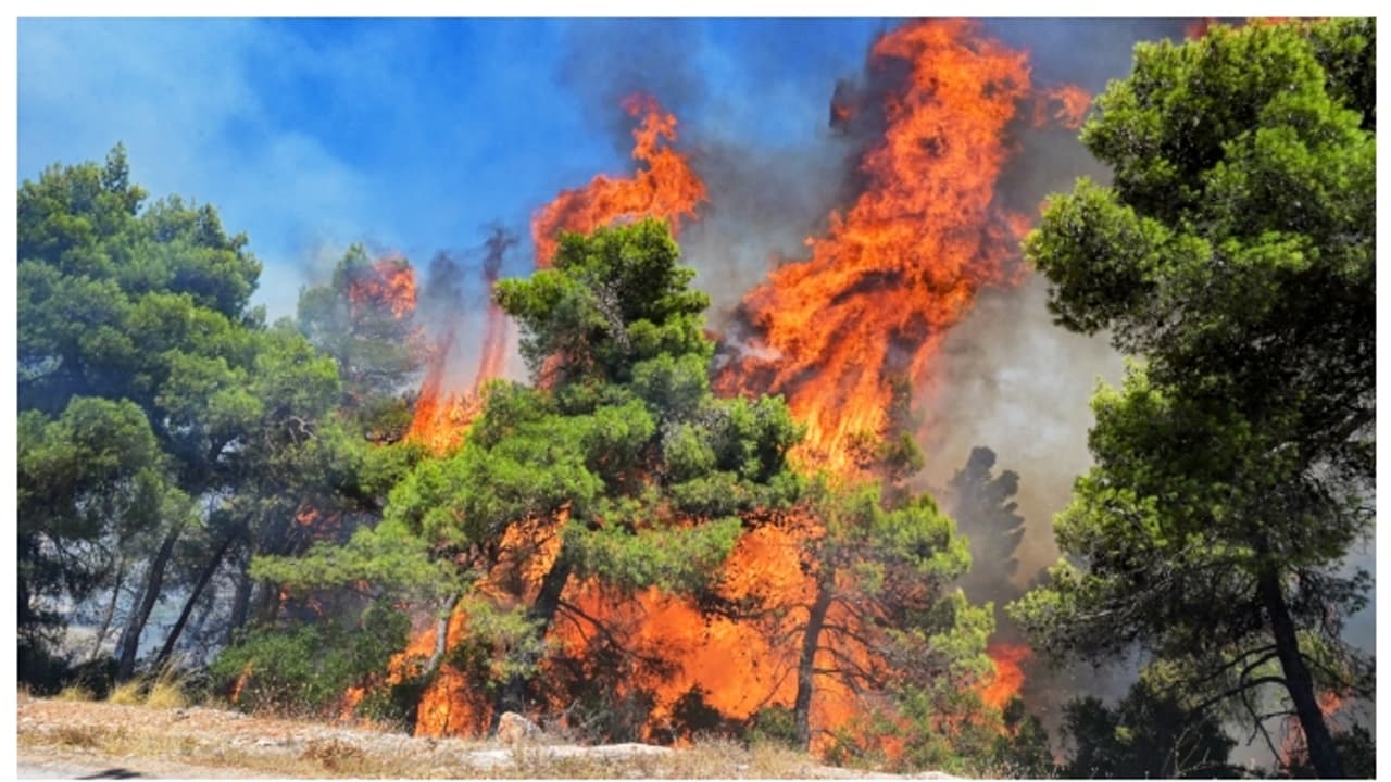 അഗ്നിശമന സേനാംഗങ്ങളുമായി 'ശൃംഗരിക്കാൻ' യുവതി കൃഷിയിടത്തിൽ രണ്ടുതവണ തീ ഇട്ടു; പിന്നാലെ എട്ടിന്റെ പണി അഗ്നിശമന സേനാംഗങ്ങളുമായി 'ശൃംഗരിക്കാൻ' യുവതി കൃഷിയിടത്തിൽ രണ്ടുതവണ തീ ഇട്ടു; പിന്നാലെ എട്ടിന്റെ പണി