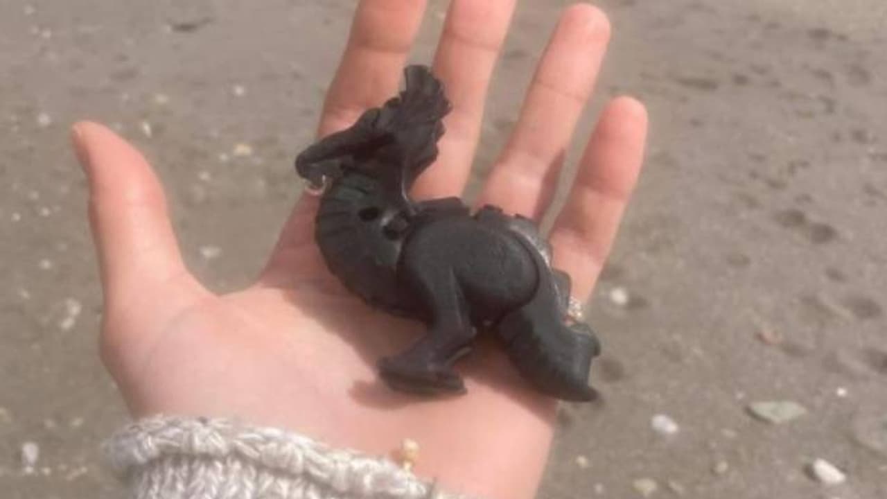 27 കൊല്ലം മുമ്പ് മുങ്ങിയ ചരക്കുകപ്പൽ, ലക്ഷക്കണക്കിന് പ്ലാസ്റ്റിക് കളിപ്പാട്ട ഭാഗങ്ങൾ കടലിൽ,ഇന്നും തീരത്തടിയും 27 കൊല്ലം മുമ്പ് മുങ്ങിയ ചരക്കുകപ്പൽ, ലക്ഷക്കണക്കിന് പ്ലാസ്റ്റിക് കളിപ്പാട്ട ഭാഗങ്ങൾ കടലിൽ,ഇന്നും തീരത്തടിയും