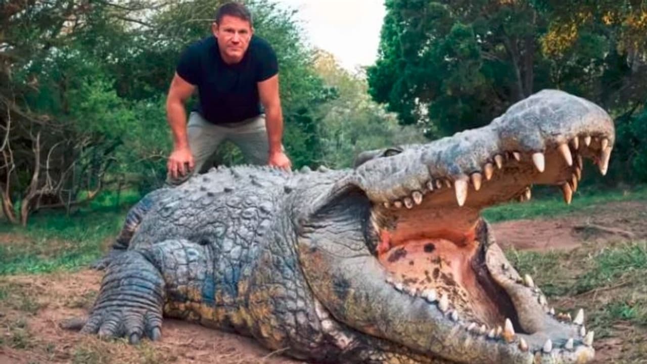 ವಿಶ್ವದ ಅತೀ ಹಿರಿಯ ಮೊಸಳೆ ಹೆನ್ರಿ : 700 ಕೆಜಿ ತೂಗುವ ಈತನಿಗೆ 10 ಸಾವಿರ ಮಕ್ಕಳು, 6 ಜನ ಪತ್ನಿಯರು