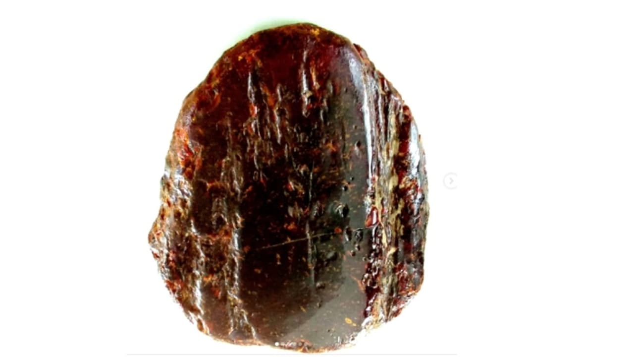 വാതിൽ പടിയായി ഉപയോഗിച്ചത് ലക്ഷക്കണക്കിന് വർഷം പഴക്കമുള്ള 9 കോടിയിലധികം വിലയുള്ള നിധി; തിരിച്ചറിഞ്ഞത് ഏറെ വൈകി