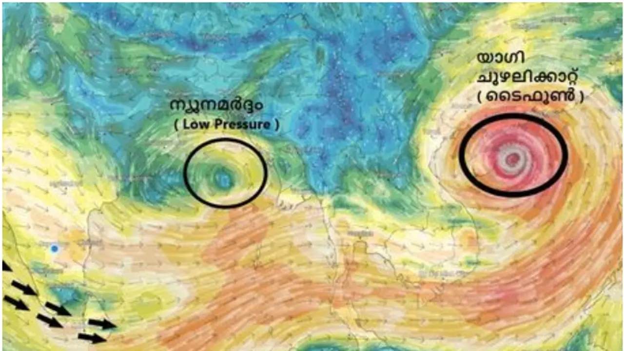 Kerala weather: Intermittent showers in all districts, heavier rains in north; yellow alert in two districts Kerala weather: Intermittent showers in all districts, heavier rains in north; yellow alert in two districts