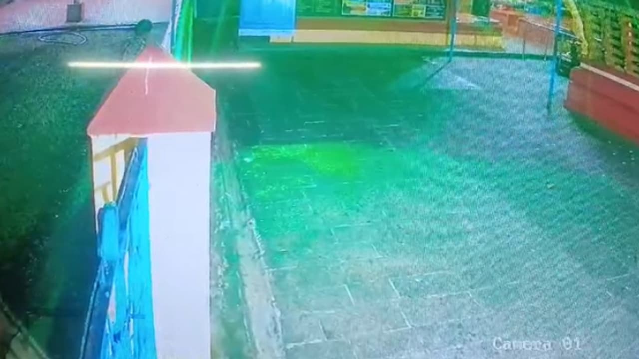 പുലര്ച്ചെ 1.30, ചുറ്റും നോക്കി പതുങ്ങിയെത്തി മതിൽ ചാടി, ഉത്രാളിക്കാവിൽ മോഷണം, പിന്നിൽ വാവ സുനിലെന്ന് നിഗമനം പുലര്ച്ചെ 1.30, ചുറ്റും നോക്കി പതുങ്ങിയെത്തി മതിൽ ചാടി, ഉത്രാളിക്കാവിൽ മോഷണം, പിന്നിൽ വാവ സുനിലെന്ന് നിഗമനം