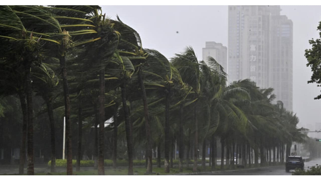 'മേൽക്കൂരകൾ പറത്തി, മലയിടിച്ചു', വിയറ്റ്നാമിനെ അടിച്ച് തകർത്ത് 'യാഗി', 59 പേർക്ക് ദാരുണാന്ത്യം 'മേൽക്കൂരകൾ പറത്തി, മലയിടിച്ചു', വിയറ്റ്നാമിനെ അടിച്ച് തകർത്ത് 'യാഗി', 59 പേർക്ക് ദാരുണാന്ത്യം