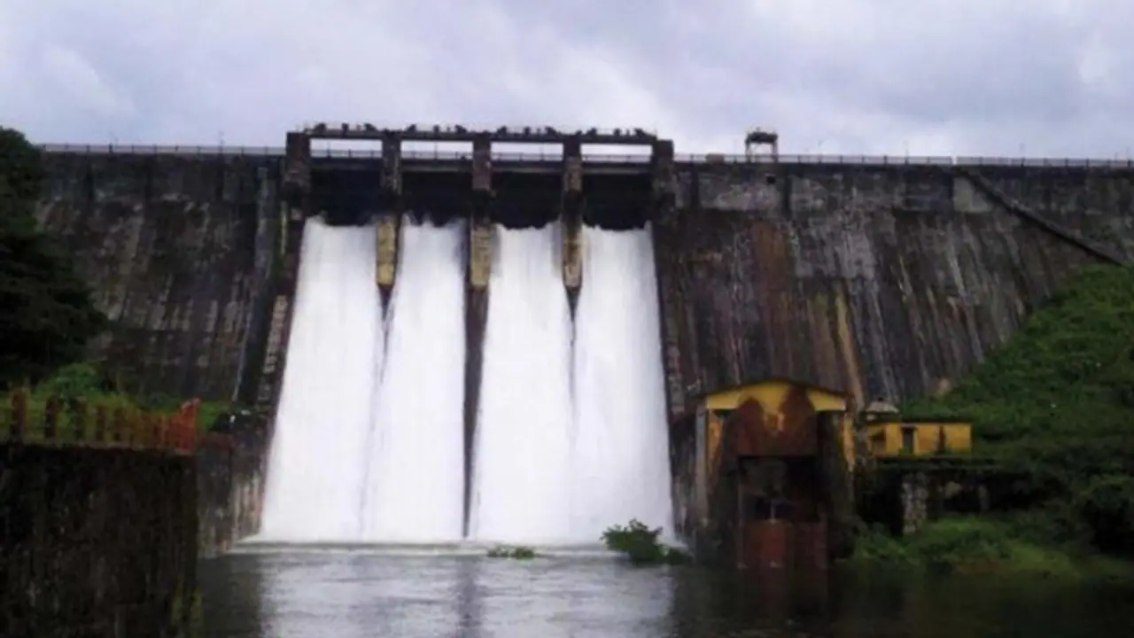 Kerala: Chimmini Dam to be opened to public on September 13 Kerala: Chimmini Dam to be opened to public on September 13