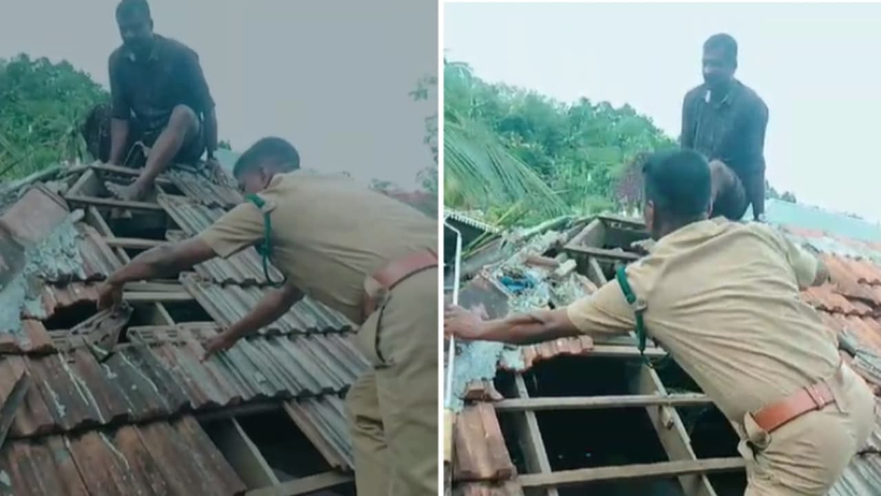 മച്ചിൽ നിന്ന് ശബ്ദം, തെരച്ചിലിൽ കക്ഷിയെ കണ്ടു, ഒടുവിൽ ഓടിളക്കി പിടികൂടി, ഉറക്കം കളഞ്ഞത് കുഞ്ഞൻ പെരുമ്പാമ്പ്!