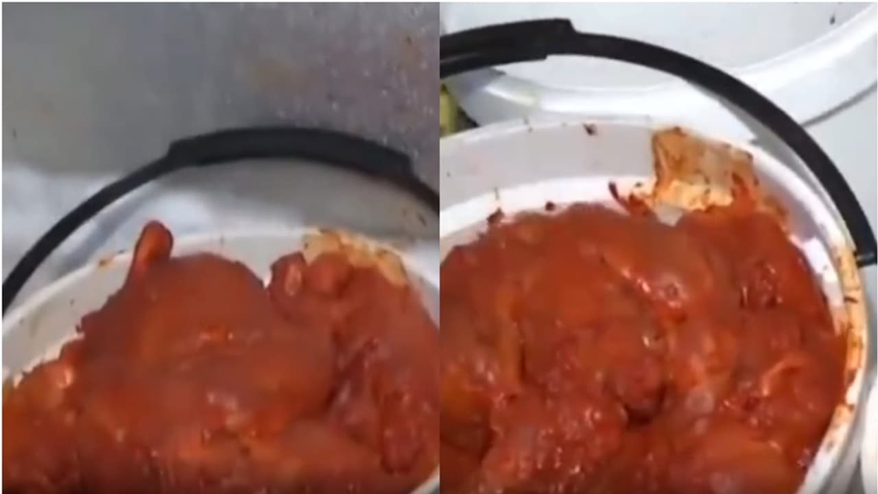 എലിയും പ്രാണികളും, 90 കിലോ കേടായ ഇറച്ചി; റെസ്റ്റോറന്റുകളിൽ റെയ്ഡ്, കുവൈത്തിൽ പൂട്ടിച്ചത് നാലെണ്ണം എലിയും പ്രാണികളും, 90 കിലോ കേടായ ഇറച്ചി; റെസ്റ്റോറന്റുകളിൽ റെയ്ഡ്, കുവൈത്തിൽ പൂട്ടിച്ചത് നാലെണ്ണം