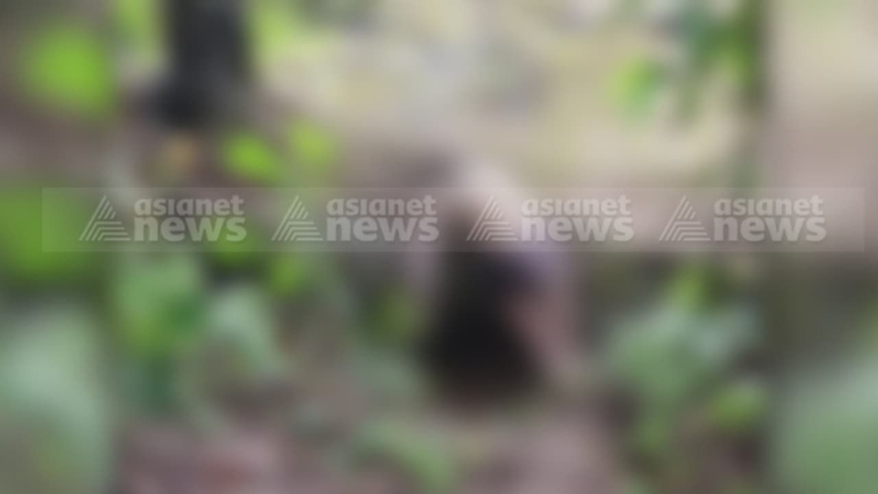 വടക്കഞ്ചേരിയിൽ കാണാതായ വയോധികനെ വൈദ്യുതി കെണിയിൽ നിന്ന് ഷോക്കേറ്റ് മരിച്ച നിലയിൽ കണ്ടെത്തി വടക്കഞ്ചേരിയിൽ കാണാതായ വയോധികനെ വൈദ്യുതി കെണിയിൽ നിന്ന് ഷോക്കേറ്റ് മരിച്ച നിലയിൽ കണ്ടെത്തി