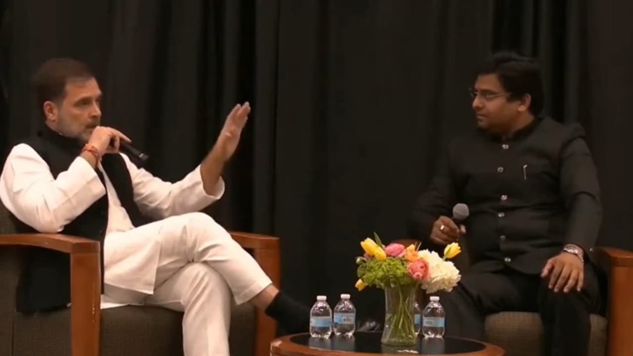 'Habit of insulting India': Congress' Rahul Gandhi slammed for China has no unemployment issue remark (WATCH)