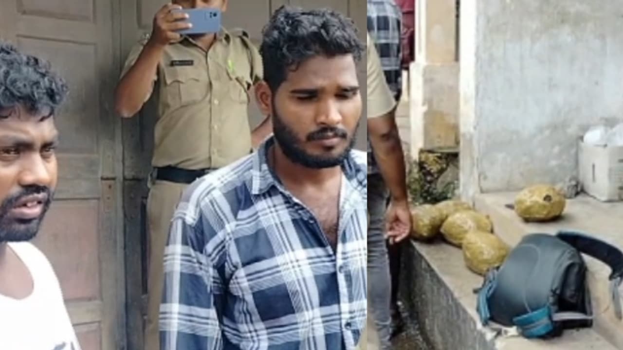 കളമശ്ശേരിയിൽ ട്രെയിനിറങ്ങി, വിൽപ്പനയ്ക്കായി നിൽക്കവേ പിടിവീണു; 5 കിലോ കഞ്ചാവുമായി ഒഡീഷ സ്വദേശികൾ അറസ്റ്റിൽ