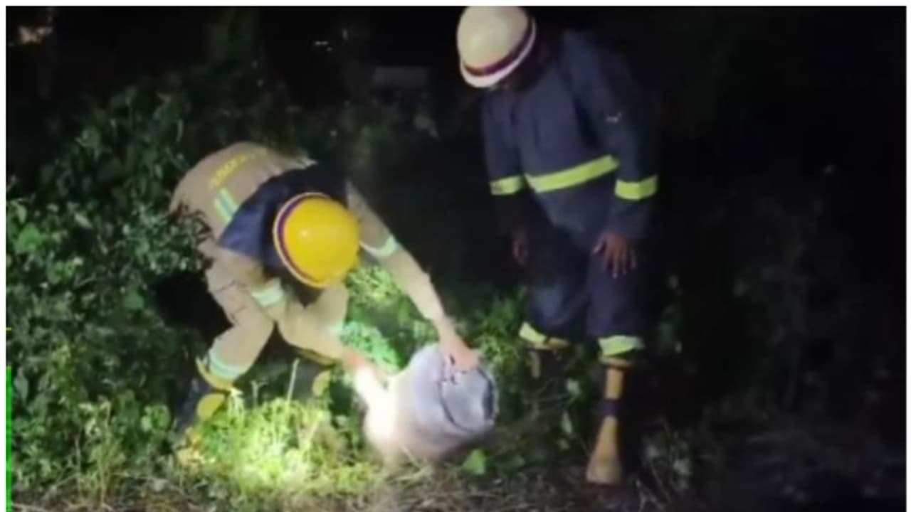 ട്രാക്കിൽ ഗ്യാസ് സിലിണ്ടറും പെട്രോൾ നിറച്ച കുപ്പിയും; ട്രെയിൻ തട്ടിയെങ്കിലും വൻദുരന്തം ഒഴിവായത് തലനാരിഴയ്ക്ക് ട്രാക്കിൽ ഗ്യാസ് സിലിണ്ടറും പെട്രോൾ നിറച്ച കുപ്പിയും; ട്രെയിൻ തട്ടിയെങ്കിലും വൻദുരന്തം ഒഴിവായത് തലനാരിഴയ്ക്ക്