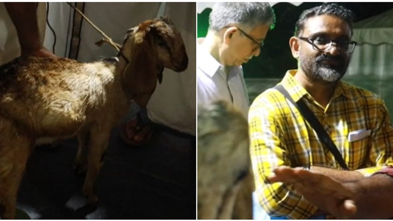 വാശിക്ക് ലേലം വിളിച്ച് ബെന്യാമിനും; ആടിന് കിട്ടിയത് 13,800 രൂപ, പണം നൽകിയ ശേഷം ആടിനെ തിരികെ ഏൽപ്പിച്ച് നൗഷാദ് വാശിക്ക് ലേലം വിളിച്ച് ബെന്യാമിനും; ആടിന് കിട്ടിയത് 13,800 രൂപ, പണം നൽകിയ ശേഷം ആടിനെ തിരികെ ഏൽപ്പിച്ച് നൗഷാദ്