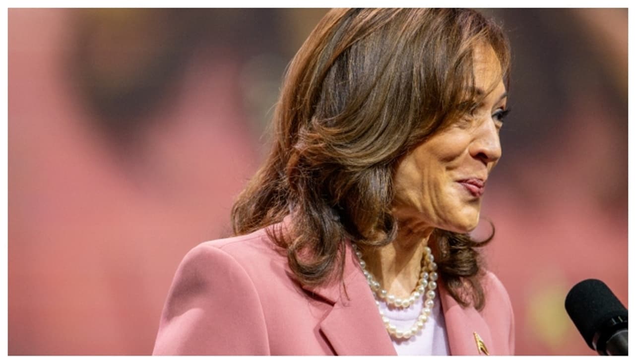 US Elections 2024: Ancestral village in Tamil Nadu to hold special prayers for Kamala Harris' victory