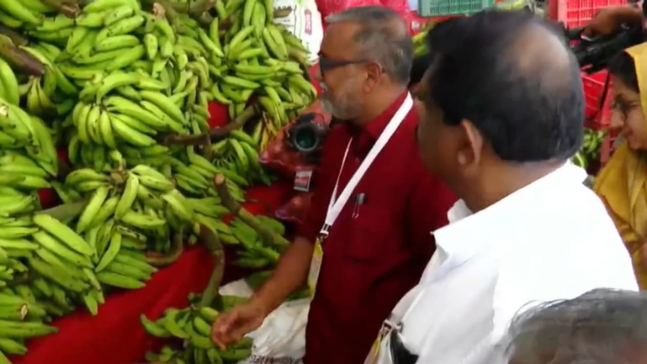 തുടങ്ങി 2000 ഓണച്ചന്തകൾ; വമ്പൻ വിലക്കുറവ് പ്രഖ്യാപിച്ച് മന്ത്രി, 'വിഷമില്ലാ പഴങ്ങളും പച്ചക്കറികളും 30% കിഴിവിൽ