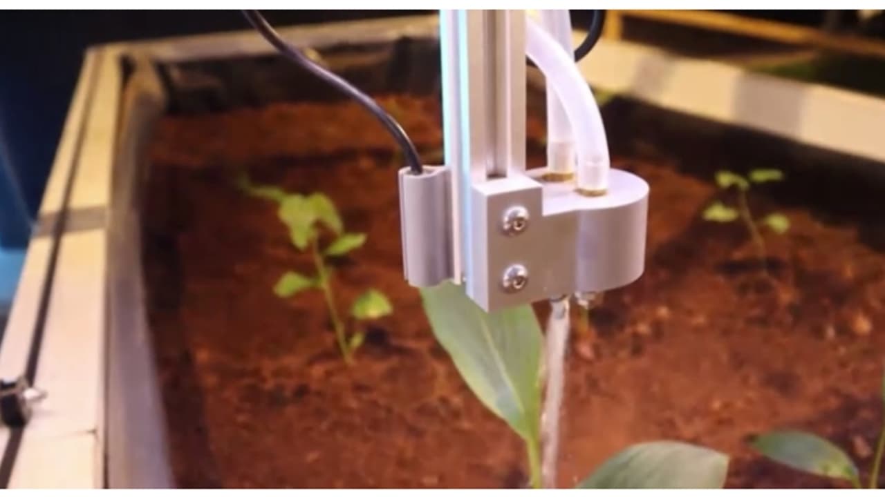 8 ലക്ഷം മുടക്കിയാൽ സ്വന്തമാക്കാം ഈ 'ആകാശപ്പറവകളെ'; 25 മിനിറ്റ് കൊണ്ട് ഇത്രെയും വലിയ പണിയോ, ആരും ഞെട്ടി പോകും 8 ലക്ഷം മുടക്കിയാൽ സ്വന്തമാക്കാം ഈ 'ആകാശപ്പറവകളെ'; 25 മിനിറ്റ് കൊണ്ട് ഇത്രെയും വലിയ പണിയോ, ആരും ഞെട്ടി പോകും