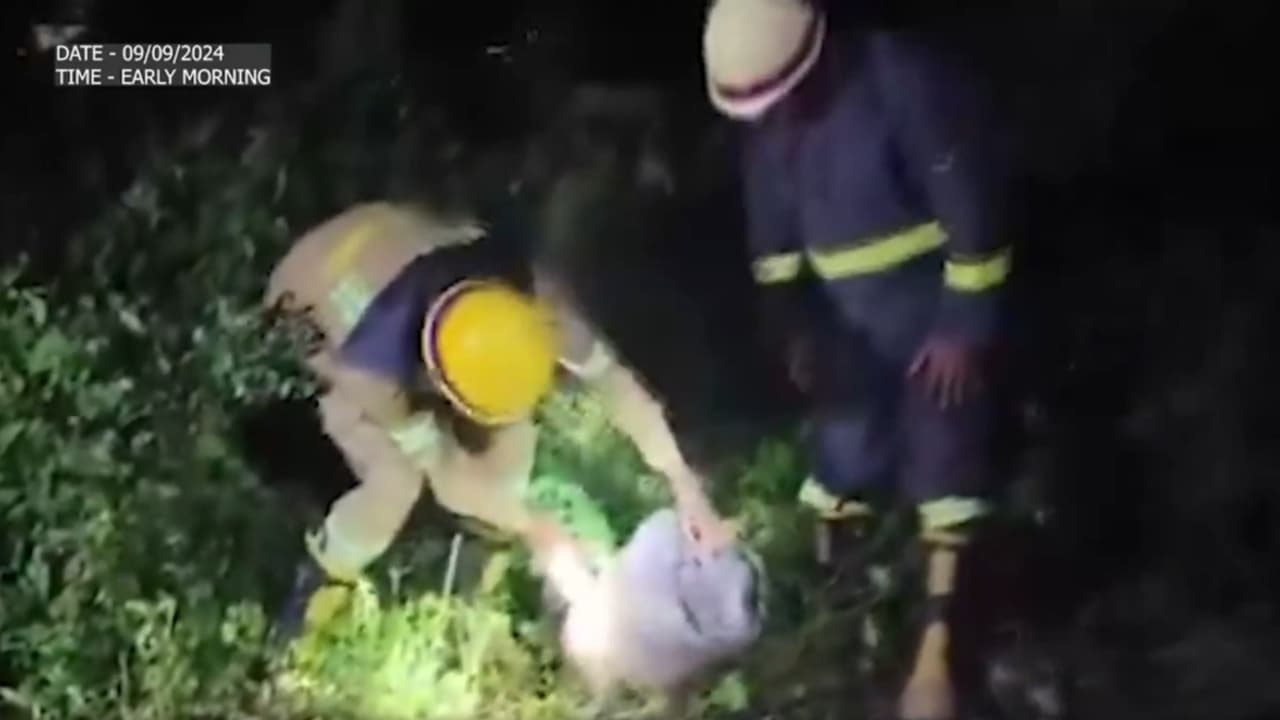 Kanpur train derailment case: UP ATS arrests history sheeter Sharukh Khan; links with ISIS under scanner