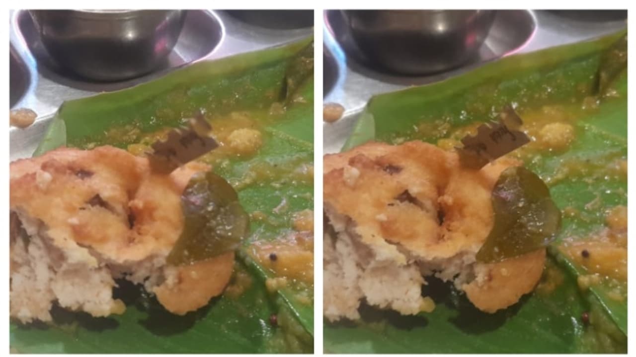 ഉഴുന്നുവടയിൽ ബ്ലേഡ്! തിരുവനന്തപുരം വെൺപാലവട്ടത്തെ കുമാർ ടിഫിൻ സെന്റർ അധികൃതര് അടപ്പിച്ചു ഉഴുന്നുവടയിൽ ബ്ലേഡ്! തിരുവനന്തപുരം വെൺപാലവട്ടത്തെ കുമാർ ടിഫിൻ സെന്റർ അധികൃതര് അടപ്പിച്ചു