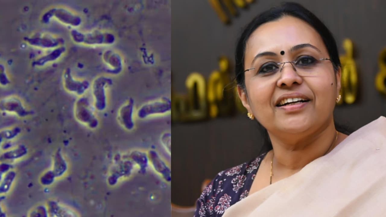 അമീബിക് മസ്തിഷ്‌ക ജ്വരം; ലോകത്ത് ആകെ രോഗമുക്തി നേടിയത് 25 പേർ, അതിൽ 14 പേരും കേരളത്തില്‍, ചരിത്ര നേട്ടം!