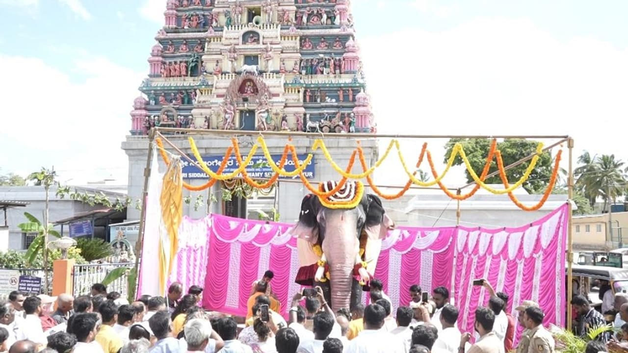 ಶ್ರೀ ಸಿದ್ದಲಿಂಗೇಶ್ವರ ಸ್ವಾಮಿ ದೇಗುಲಕ್ಕೆ 'ನಿರಂಜನಾ' ಹೆಸರಿನ ಹೊಸ ಅಥಿತಿ: ಇದು ಭಾರತದ ಮೊದಲ ತಾಂತ್ರಿಕ ಆನೆ ಶ್ರೀ ಸಿದ್ದಲಿಂಗೇಶ್ವರ ಸ್ವಾಮಿ ದೇಗುಲಕ್ಕೆ 'ನಿರಂಜನಾ' ಹೆಸರಿನ ಹೊಸ ಅಥಿತಿ: ಇದು ಭಾರತದ ಮೊದಲ ತಾಂತ್ರಿಕ ಆನೆ