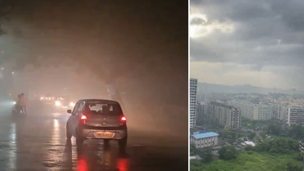 Maharashtra: Gas leak at Ambernath chemical factory creates panic, city blanketed in fog (WATCH)