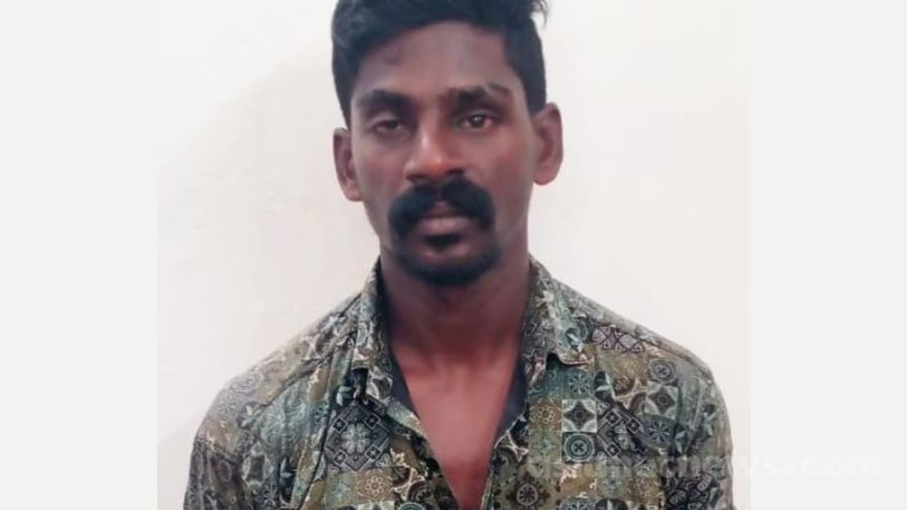 കൊല്ലത്ത് 73 കാരിയെ ക്രൂരമായി പീഡിപ്പിച്ചു; യുവാവ് അറസ്റ്റിൽ